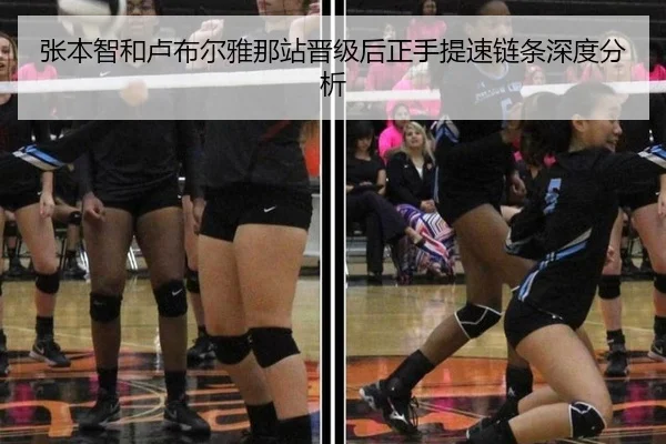 张本智和卢布尔雅那站晋级后正手提速链条深度分析